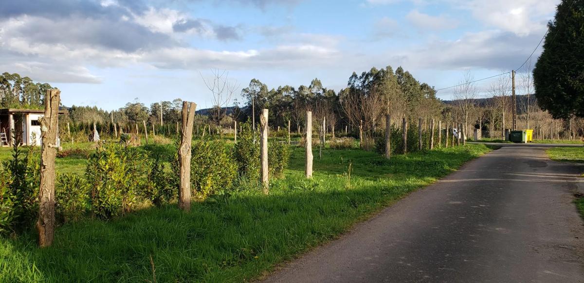 Land for sale in Irixoa, A Coruña photo 5