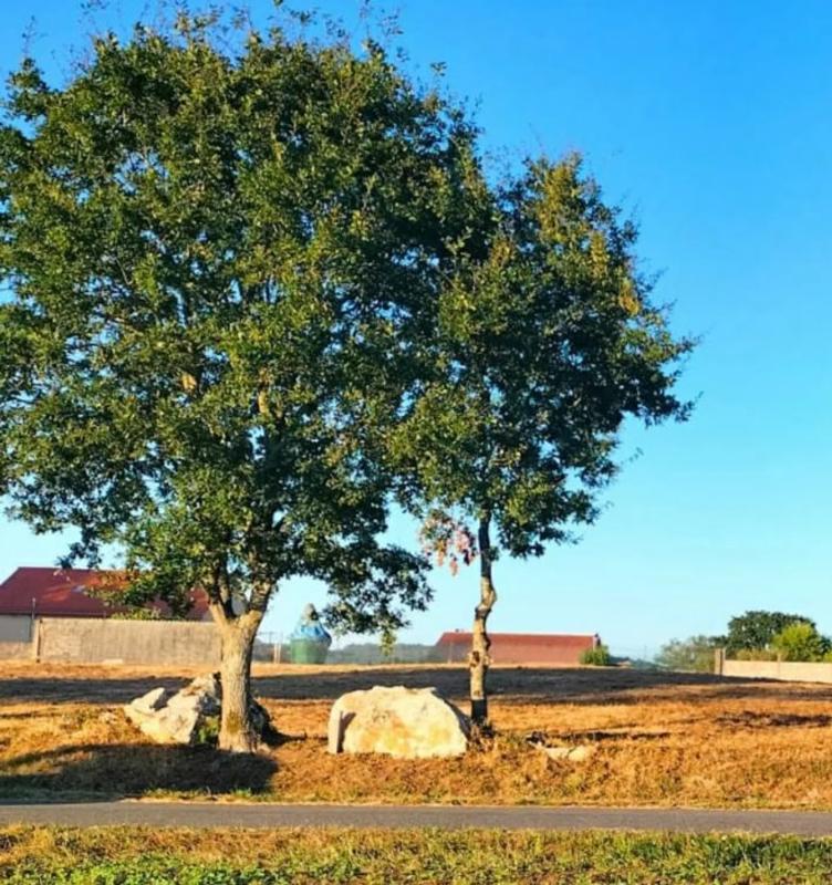 Land for sale in Trace, A Coruña photo 2
