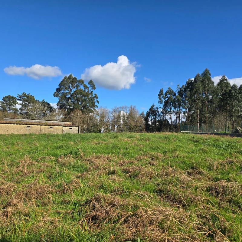 Terreno en venta en Bergondo, A Coruña photo 3