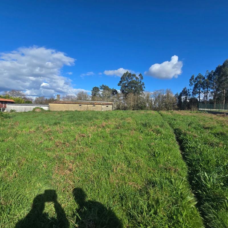 Terreno en venta en Bergondo, A Coruña photo 5
