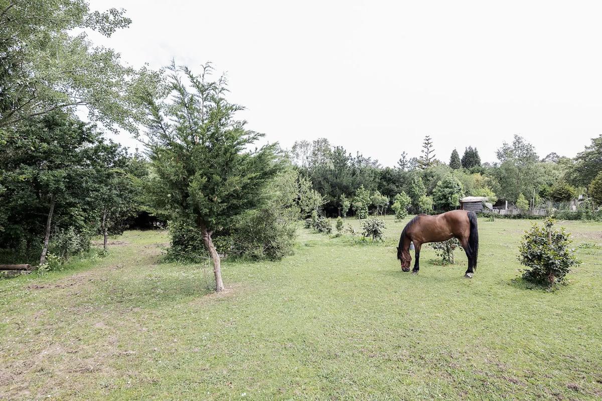 Terreno en venta en Oleiros, A Coruña photo 1