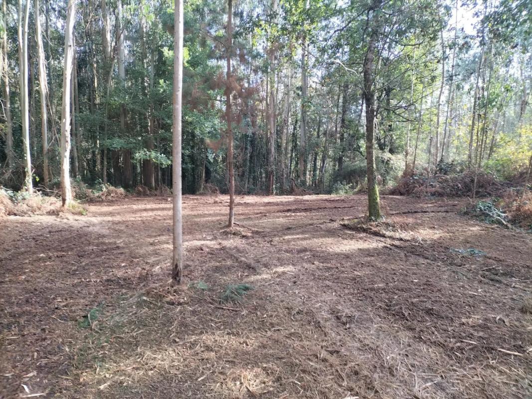 Terreno en venta en Oleiros, A Coruña photo 2
