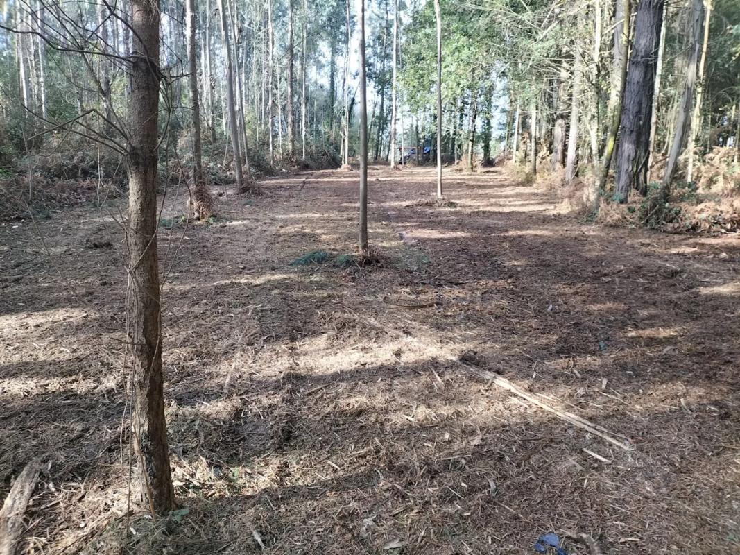 Terreno en venta en Oleiros, A Coruña photo 3