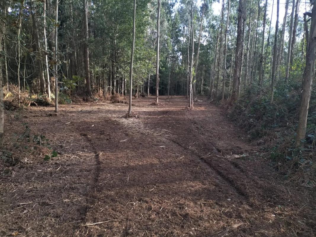 Land for sale in Oleiros, A Coruña photo 1