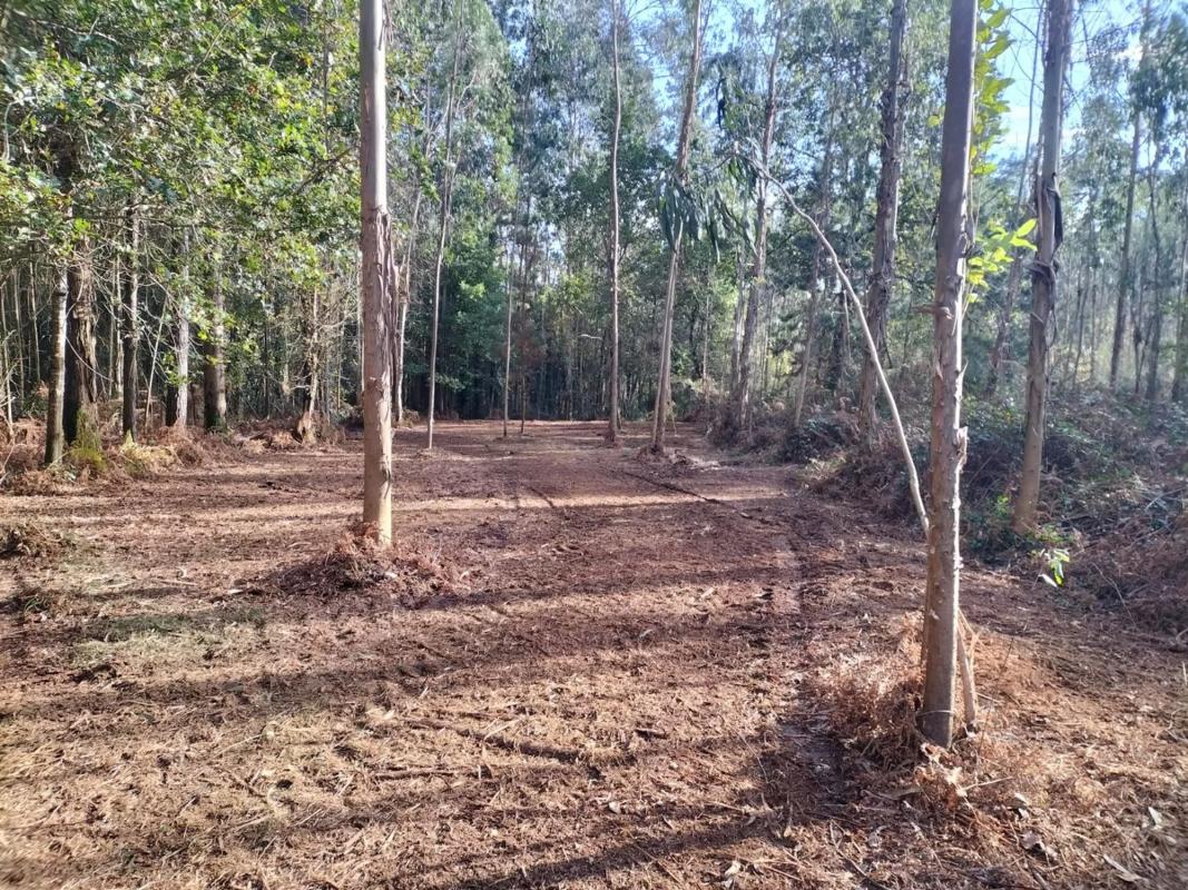 Land for sale in Oleiros, A Coruña photo 3