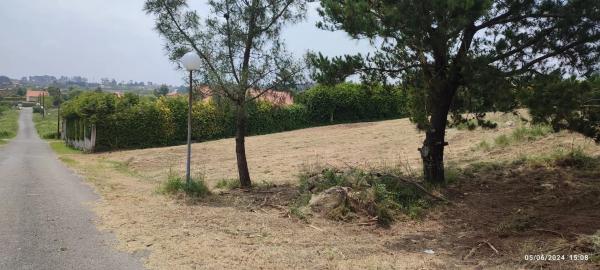Terreno en calle Golondrina, 15 photo 4