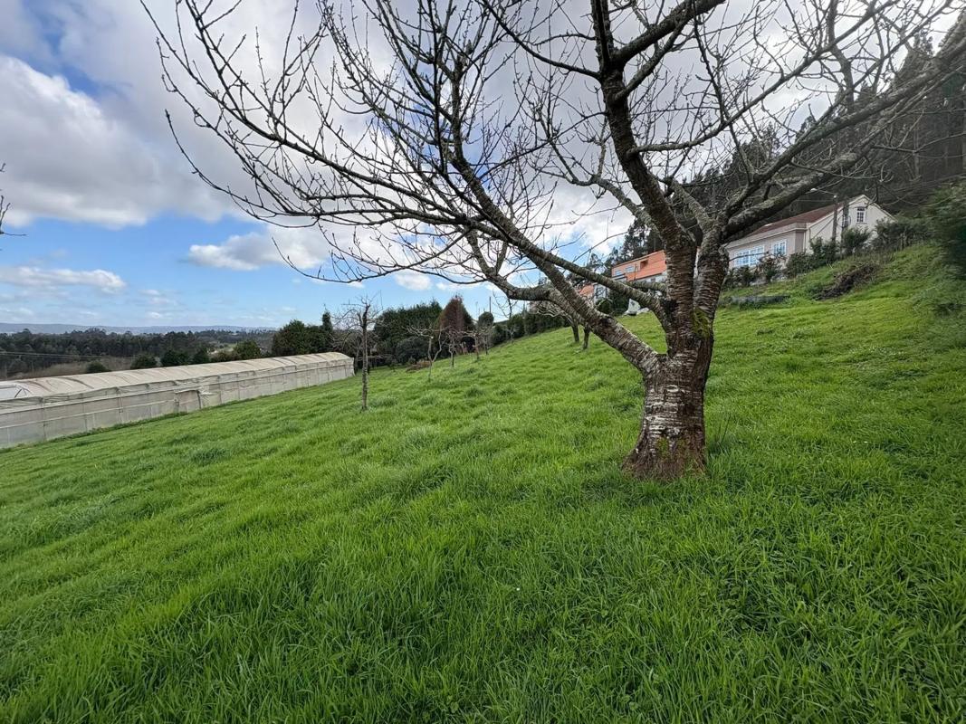 Terreno en venta en Ferrol, A Coruña photo 5
