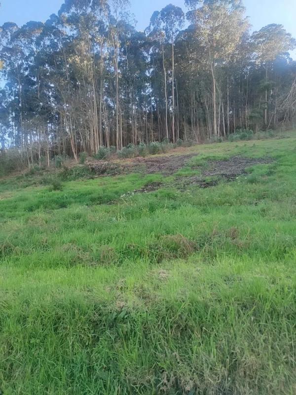 Terreno en venta en Oleiros, A Coruña photo 1