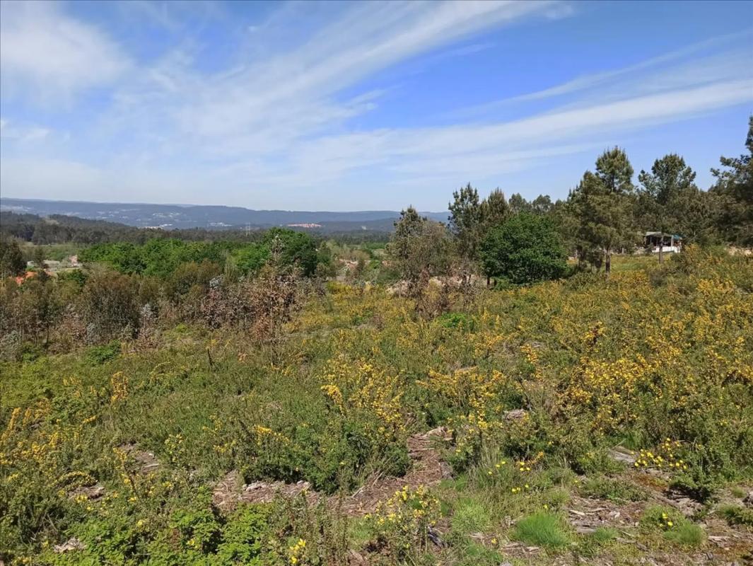 Terreno en venta en Ames, A Coruña photo 2