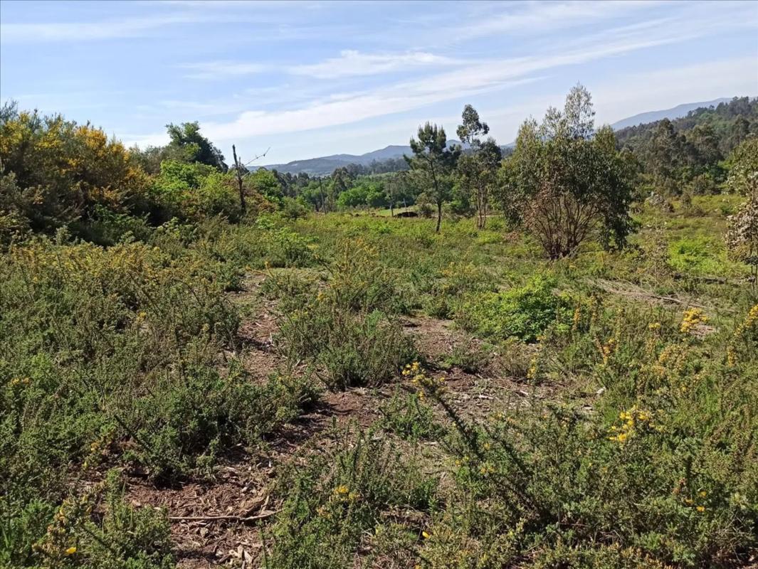 Terreno en venta en Ames, A Coruña photo 3