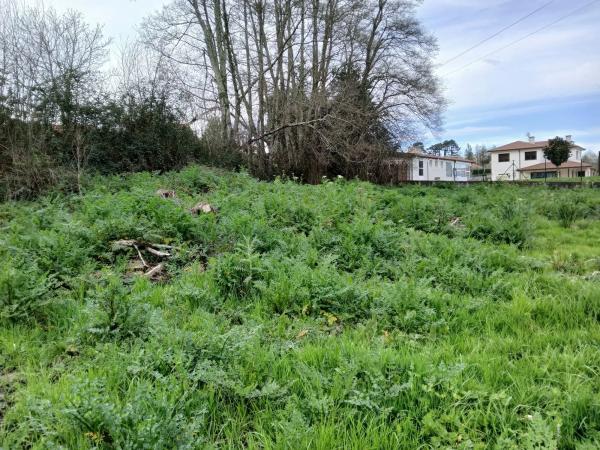 Terreno en calle a Lagoa s/n photo 4