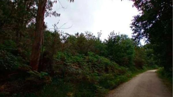 Terreno en camino Coto De Formaris s/n thumbnail 1