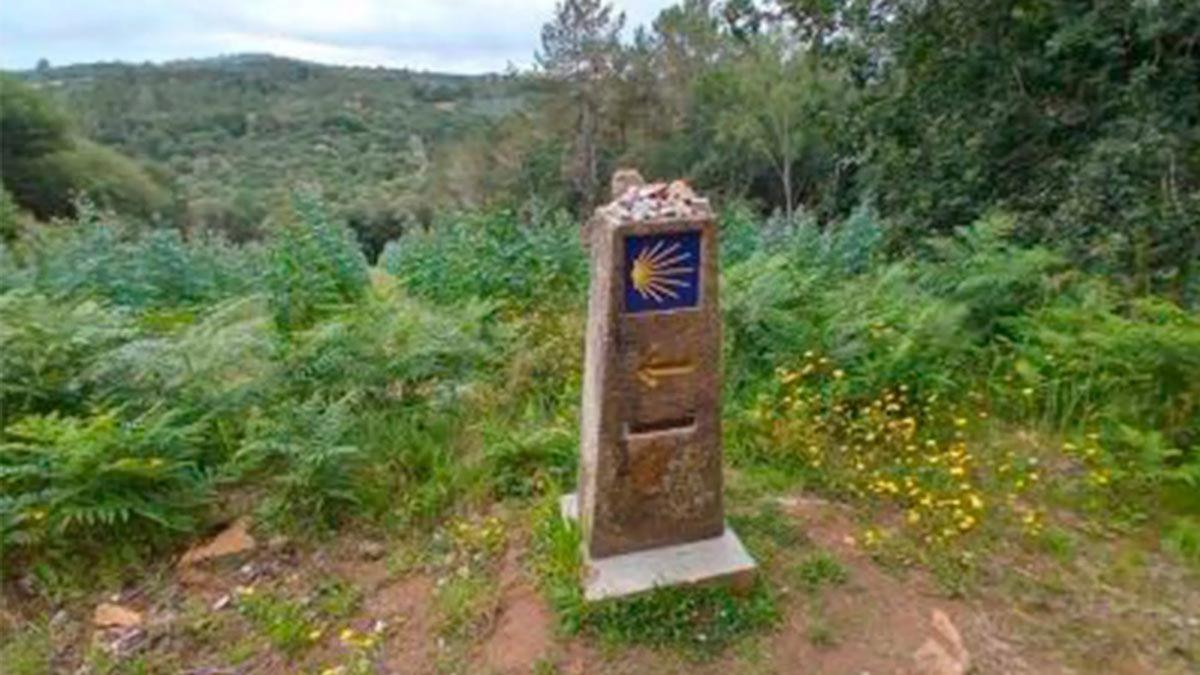 Land for sale in Santiago de Compostela, A Coruña photo 5