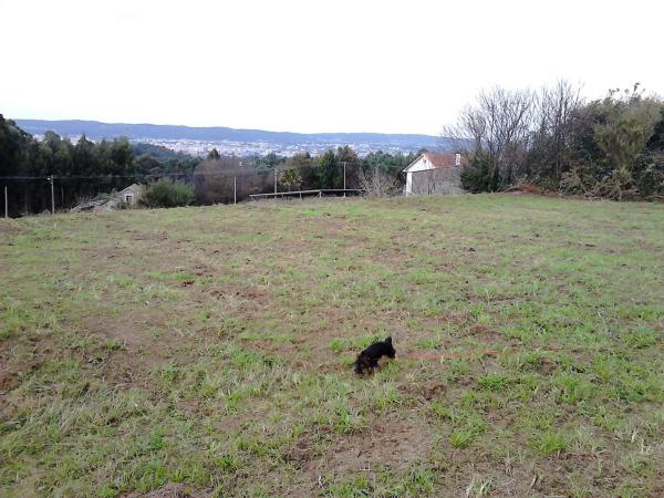 Terreno en Casal s/n Sn photo 3