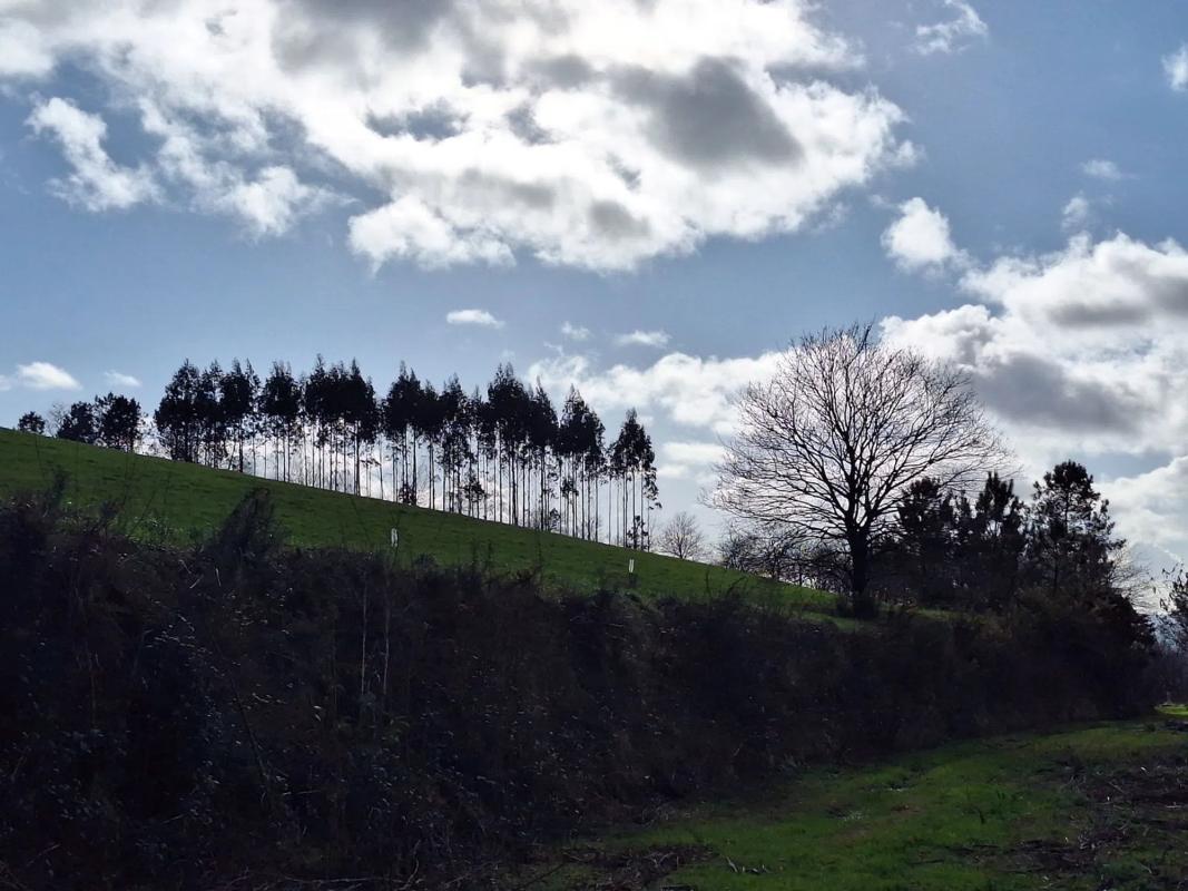 Działka na sprzedaż w Santiago de Compostela, A Coruña photo 3