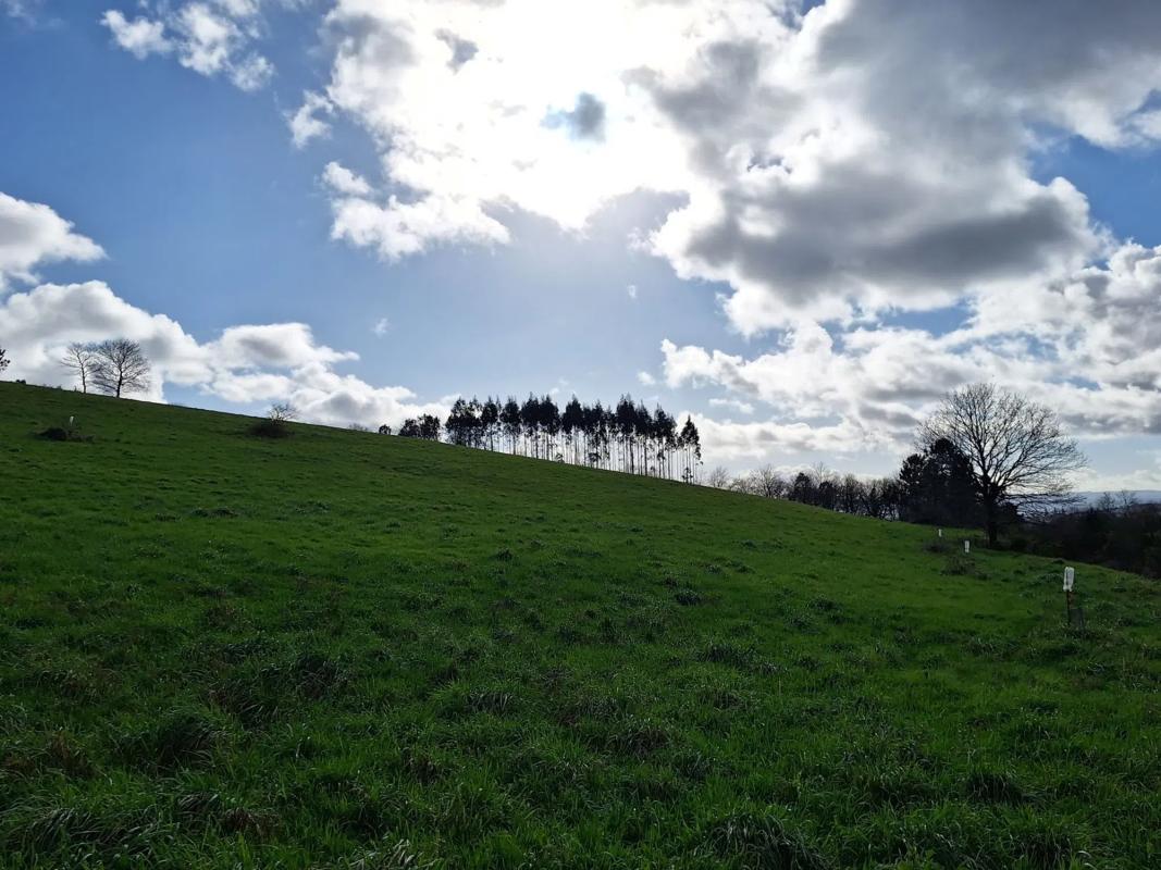 Działka na sprzedaż w Santiago de Compostela, A Coruña photo 5