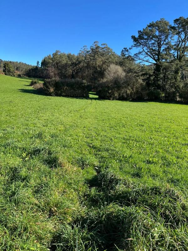Land for sale in The Chapel, A Coruña photo 3