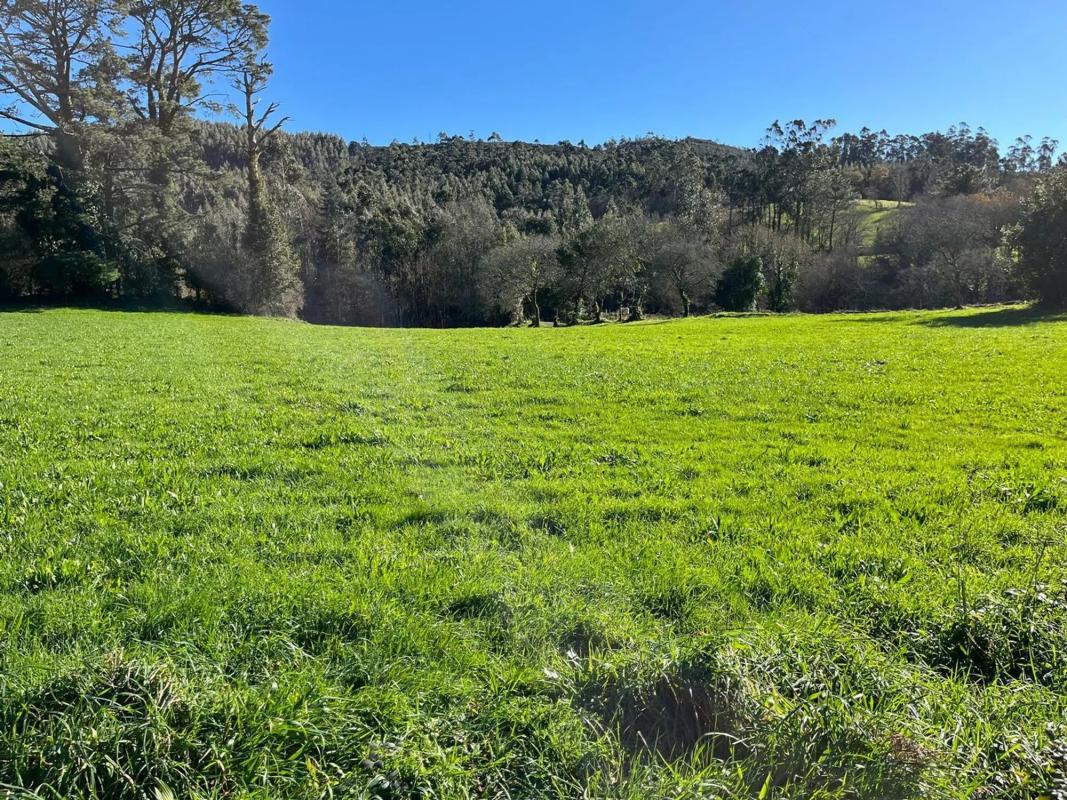 Land for sale in The Chapel, A Coruña photo 5
