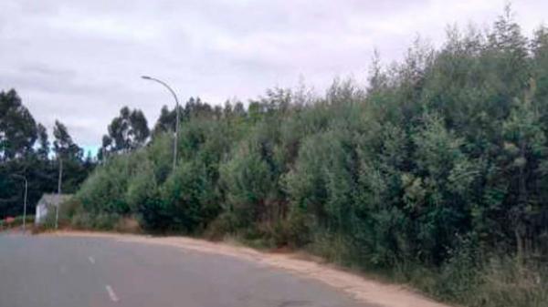 Terreno en calle do Xeixo s/n None photo 2