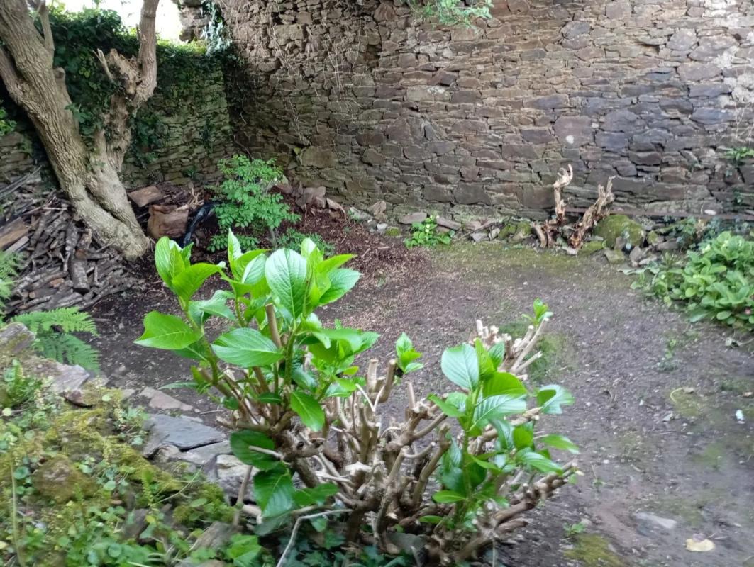 Land for sale in Ordes, A Coruña photo 4
