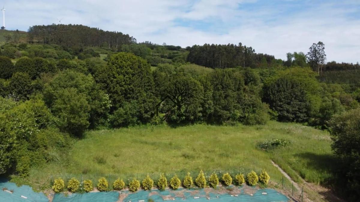 Terreno en venta en Narón, A Coruña photo 4