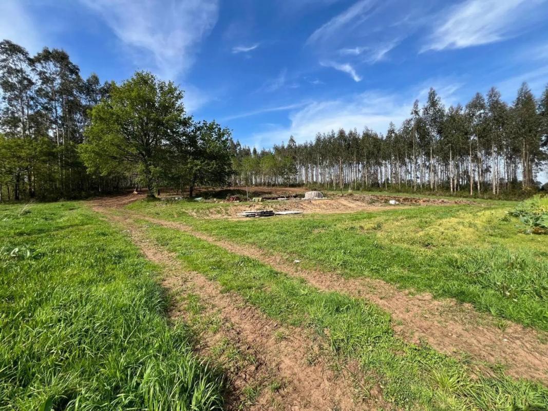 Terreno en venta en Melide, A Coruña photo 2