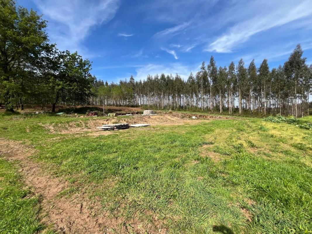 Terreno en venta en Melide, A Coruña photo 3