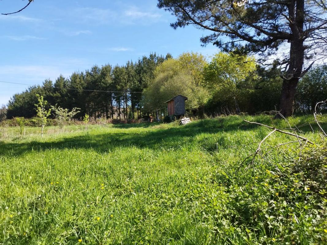 Działka na sprzedaż w Oroso, A Coruña photo 5