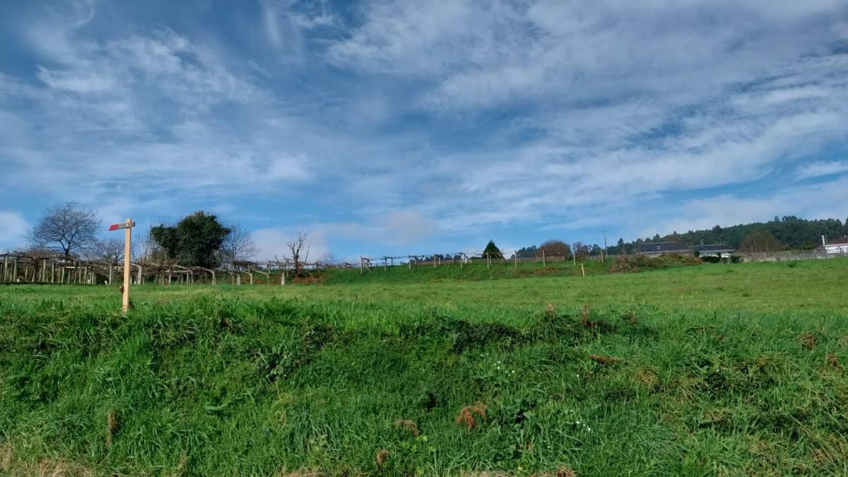 Land for sale in Vedra, A Coruña photo 2
