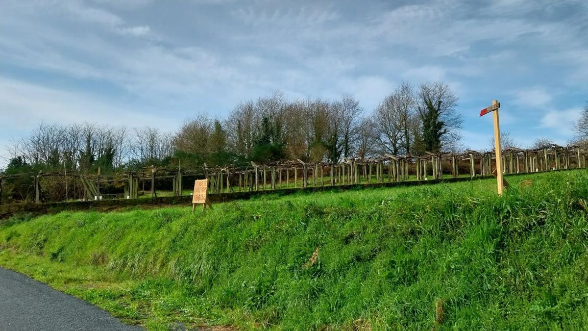 Land for sale in Vedra, A Coruña photo 3