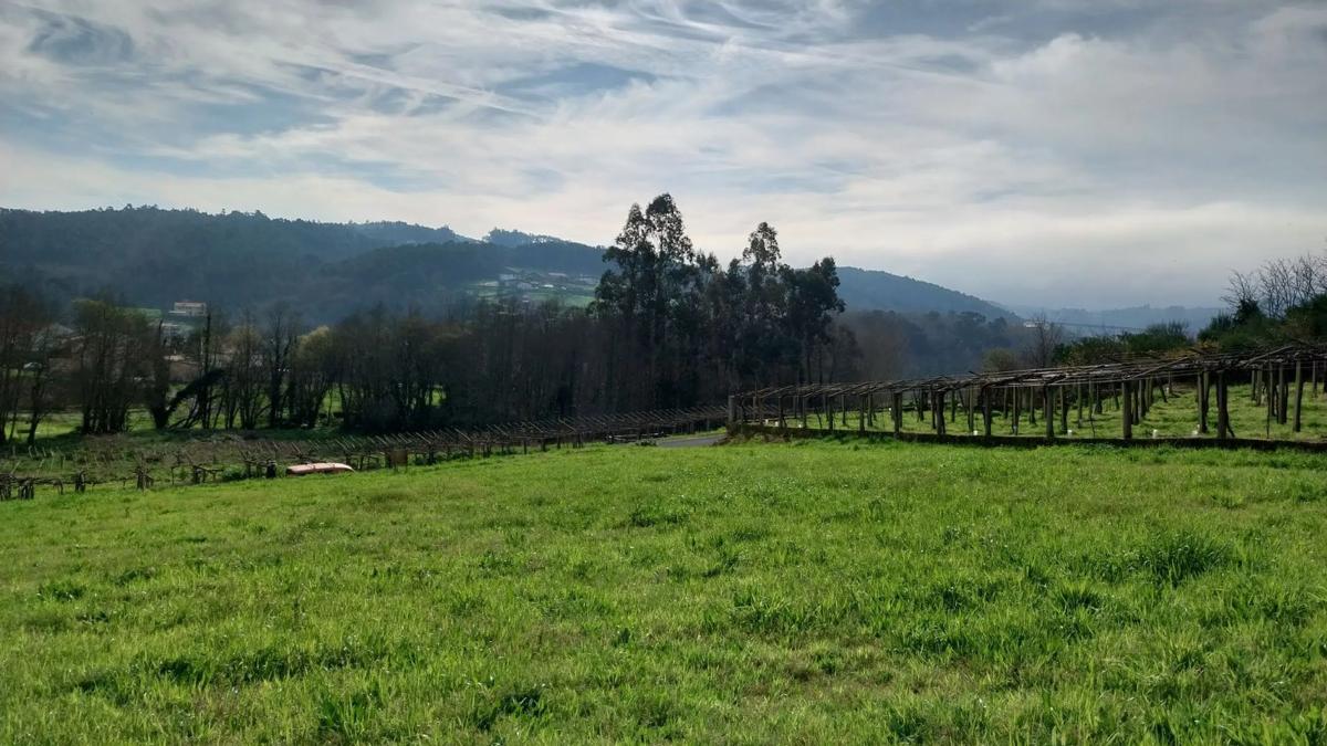 Land for sale in Vedra, A Coruña photo 5
