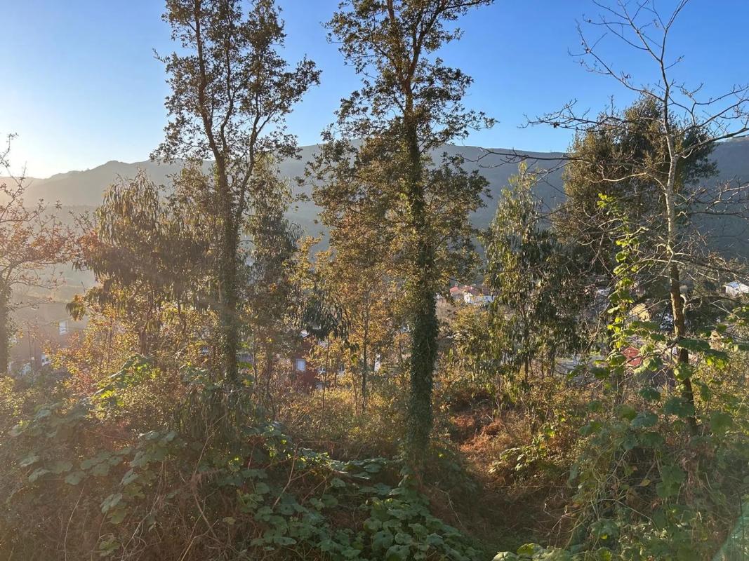 Terreno en venta en Boiro, A Coruña photo 1