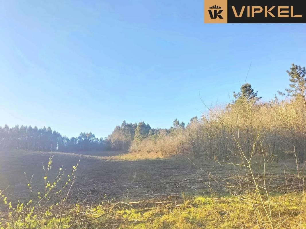 Terreno en venta en Santiago de Compostela, A Coruña photo 2