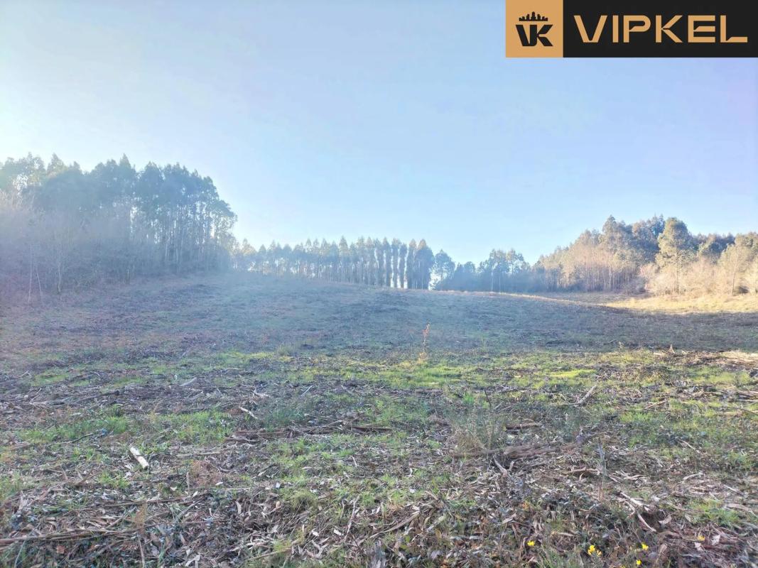 Terreno en venta en Santiago de Compostela, A Coruña photo 3