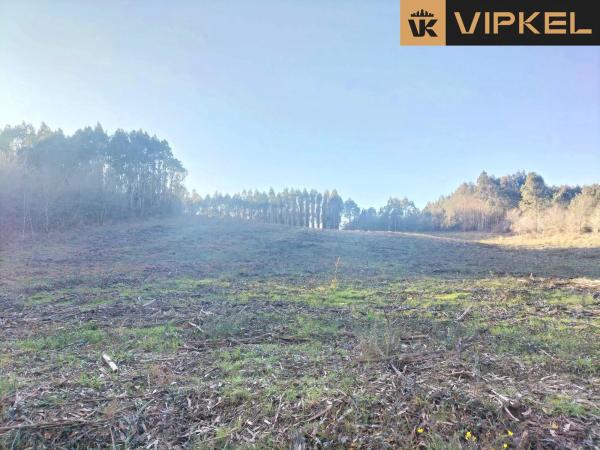 Terreno en Quintáns Verdía photo 3