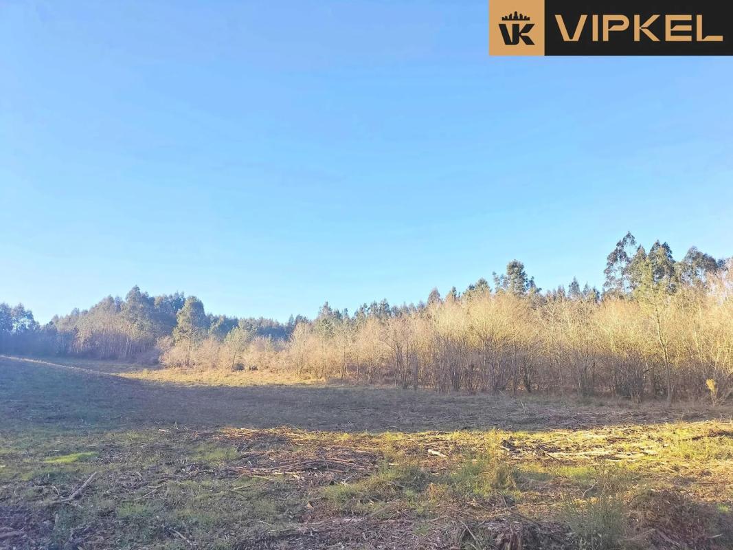 Terreno en venta en Santiago de Compostela, A Coruña photo 4