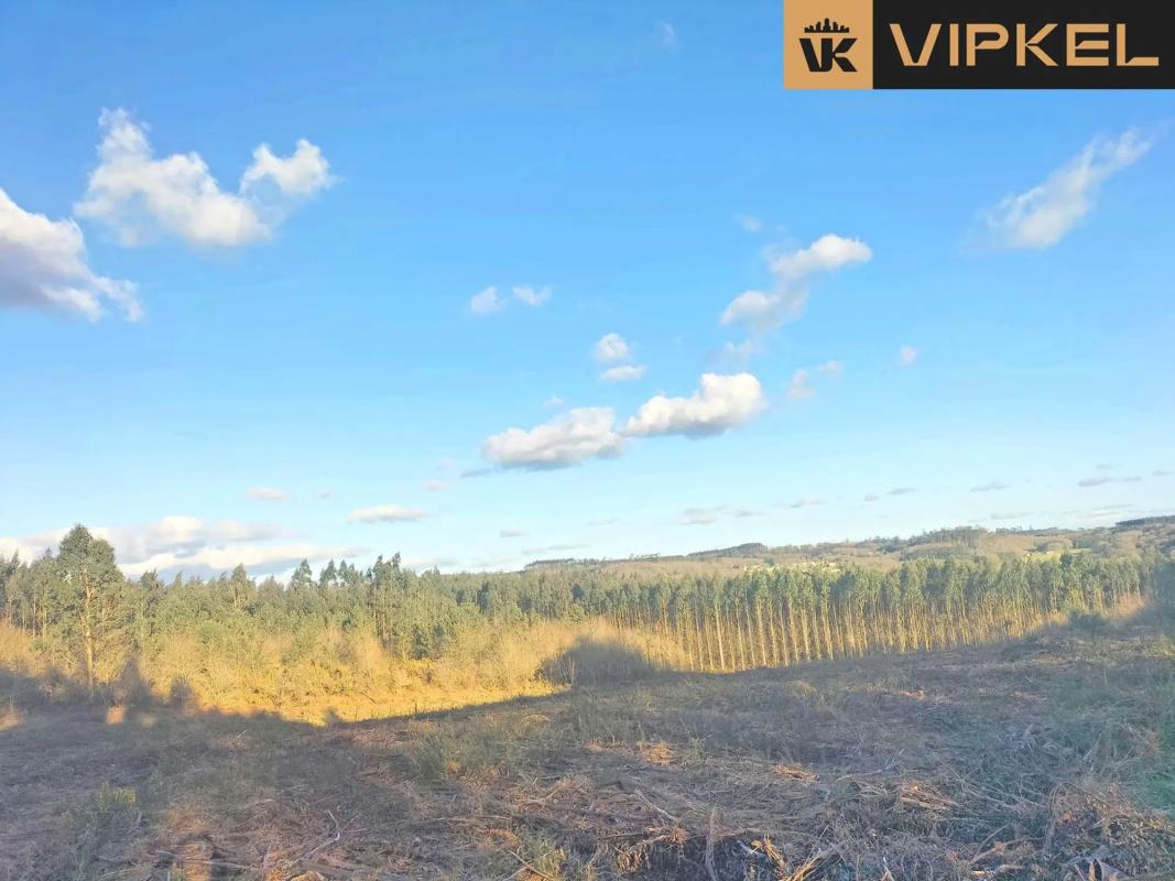 Terreno en venta en Santiago de Compostela, A Coruña photo 5
