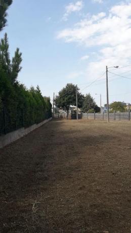 Terreno en camino de Catabois, km 1 photo 1