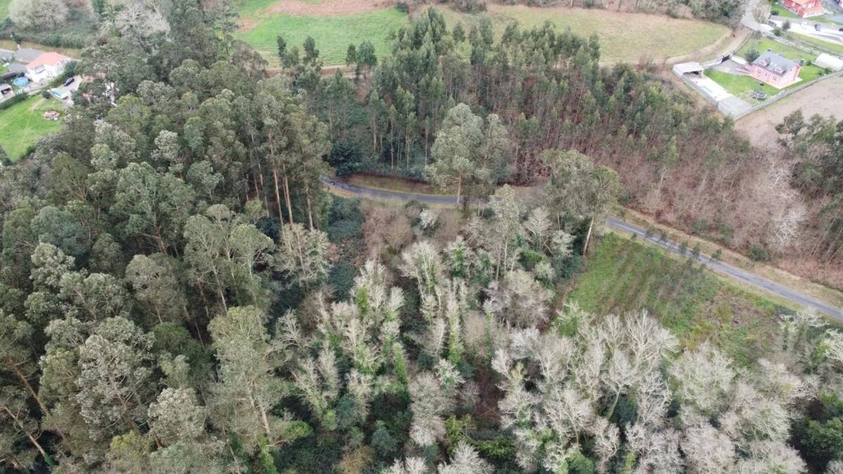 Terreno en venta en Sada, A Coruña photo 2