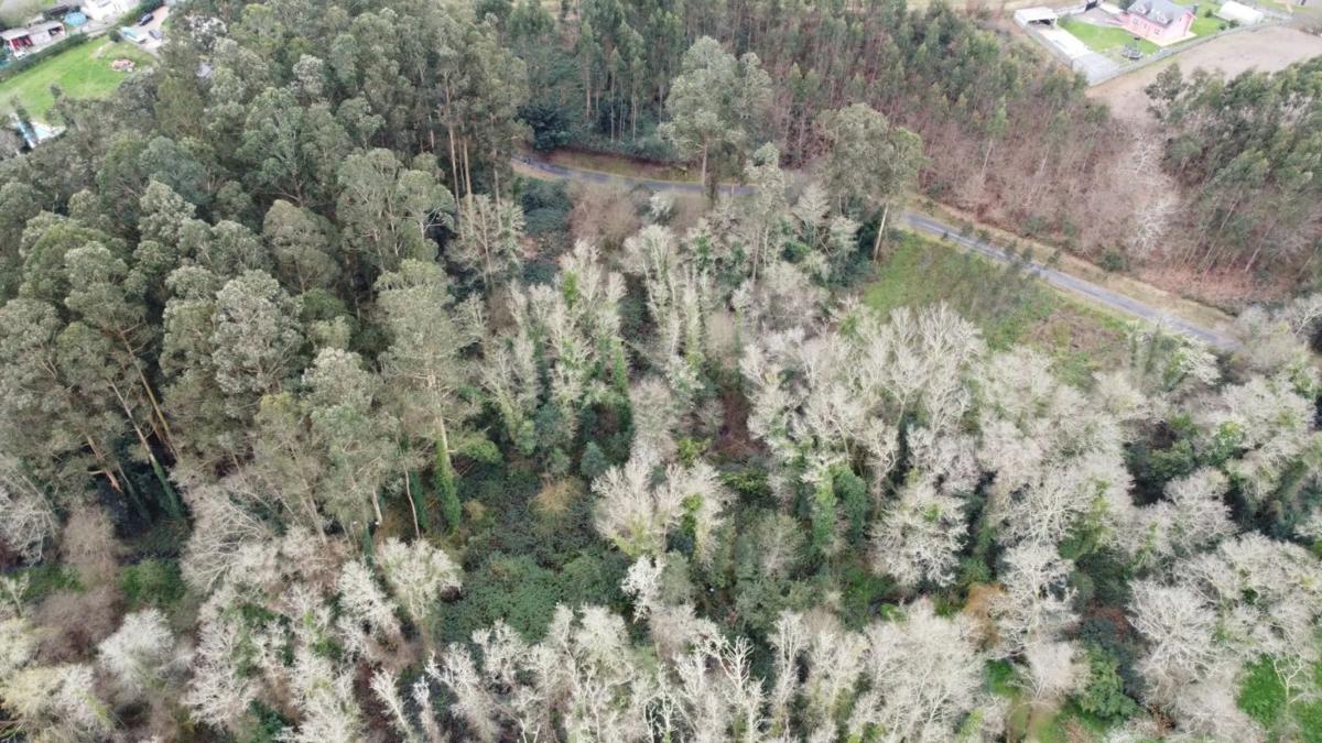 Terreno en venta en Sada, A Coruña photo 3