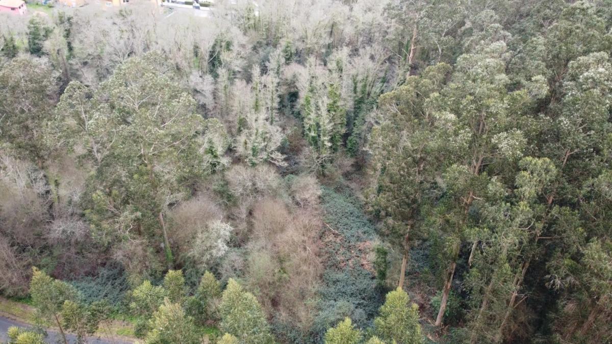 Terreno en venta en Sada, A Coruña photo 5