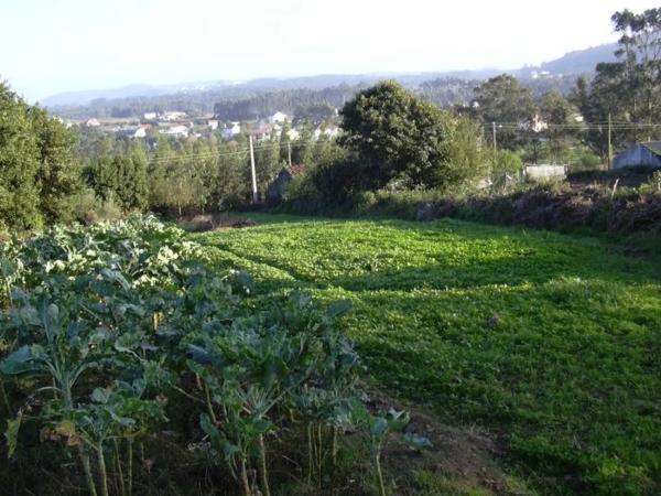 Terreno en Pasacondias s/n photo
