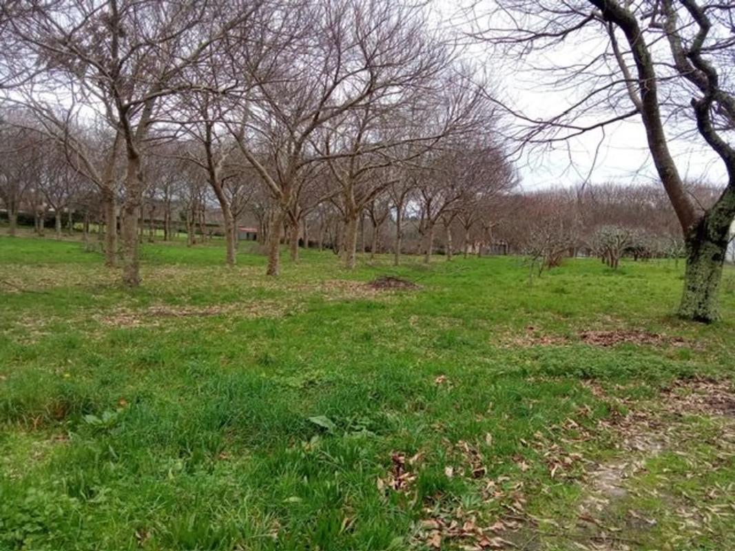 Terreno en venta en Teo, A Coruña photo 2