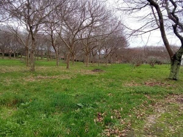 Terreno en Mouromorto photo 2