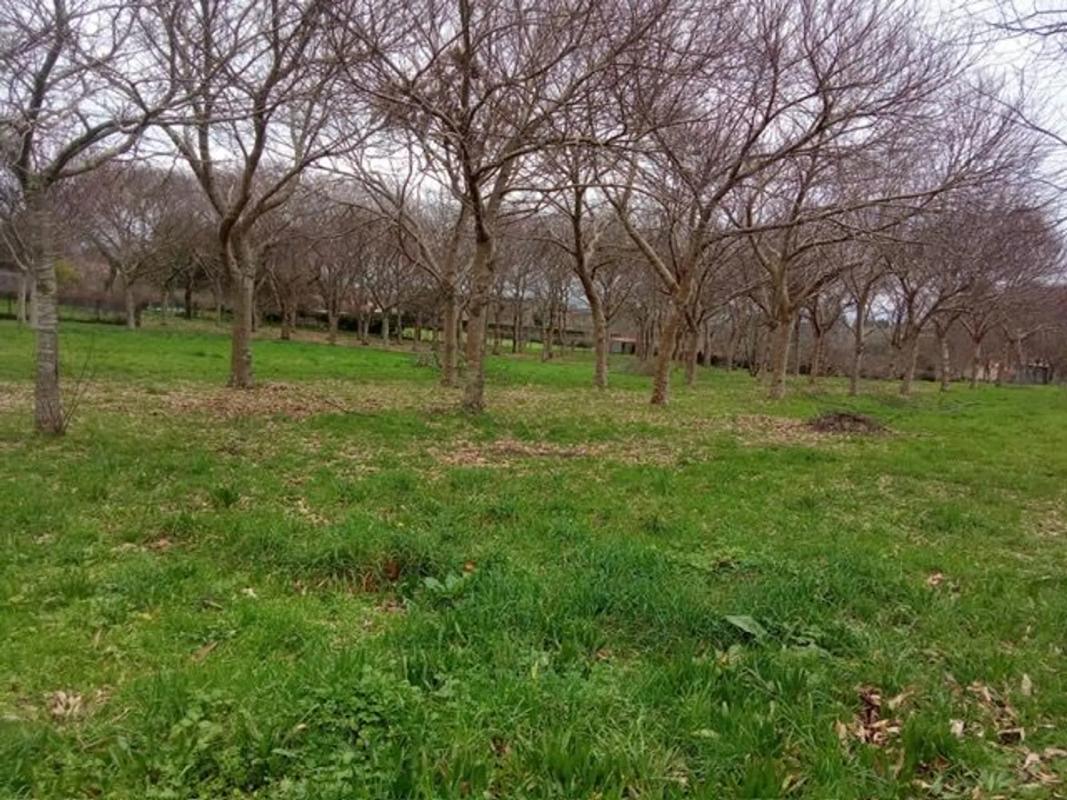 Terreno en venta en Teo, A Coruña photo 3