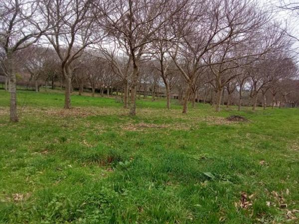Terreno en Mouromorto photo 3