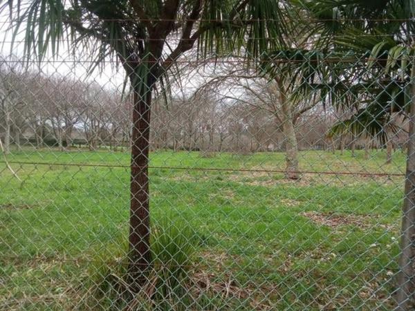 Terreno en Mouromorto photo 4