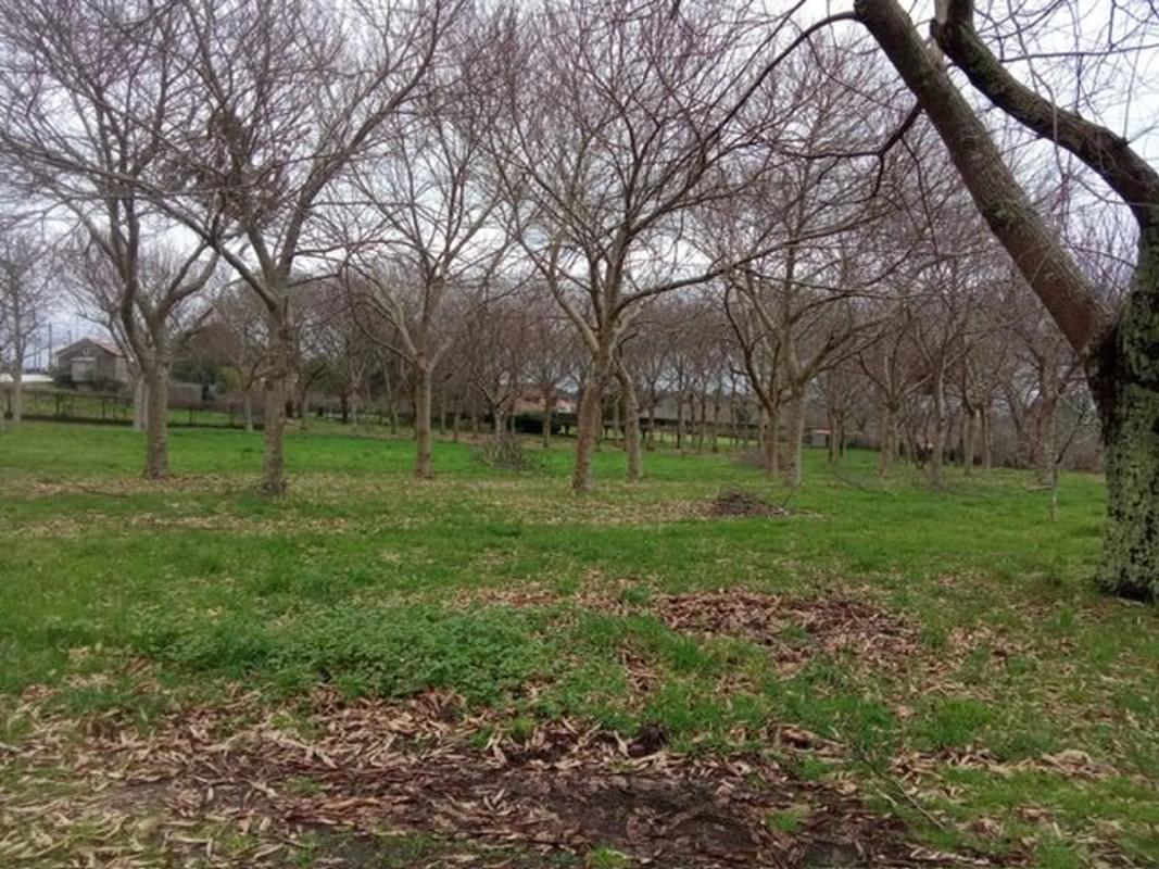 Terreno en venta en Teo, A Coruña photo 5
