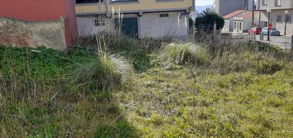 Terreno en avenida Pastoriza, 38 photo 3