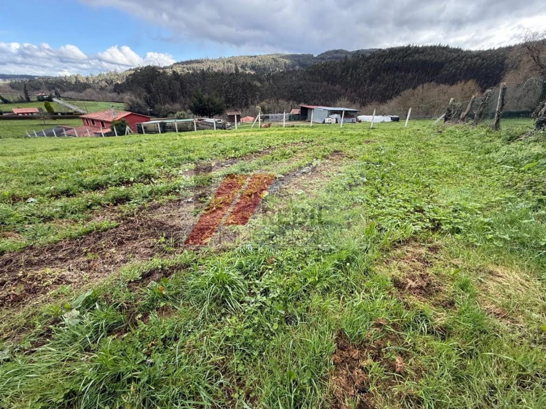 Terreno en venta en Oza-Cesuras, A Coruña photo 4